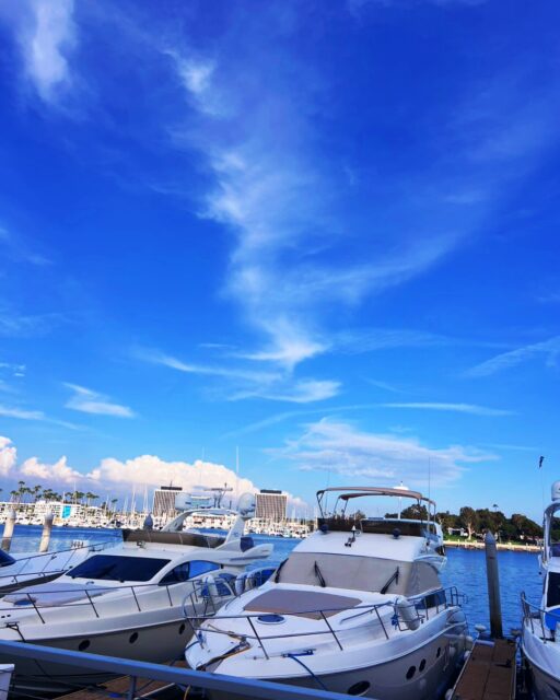 美帆先生が送って下さった
カリフォルニアの青空💙😍

この青空のようにスッキリ
晴れた気持ちで過ごすために
美整オイルをたっぷり使って
肌の質感もハリ感もダブルで
アップしましょう💖💖

もちろん美整オイル
忘れずに☺️
https://rojen.jp/bisei-oil/shop/

✨✨✨ 💖 ✨✨✨
🇯🇵日本
ROJEN公式サイト
rojen.jp
スキンケアご購入ダイレクトページ
https://rojen.jp/bisei-oil/shop/
メルマガ登録でいち早くお知らせGET❣️
https://rojen.jp/mailmagazine/
公式LINE登録で特別メッセージをGET❣️
https://lin.ee/EdDlMnt
インスタフォロー＆Facebookフォロー
https://www.instagram.com/rojenofficial/
https://www.facebook.com/rojen.biseioil/
✨✨✨ 💖 ✨✨✨
🇺🇸USA
ROJEN Official
rojenusa.com
ROJEN Organic Skincare 
https://rojenusa.com/biseioil/
Subscribe by Email:
https://rojenusa.com/newsletter/
Follow on Instagram:
https://www.instagram.com/rojenofficial/
✨ You’ll receive exclusive discounts and
 special offers with every newsletter!

#ROJEN #ロジェン #biseioil #美整オイル #魔法の5秒リフト #塗るサプリメント #ビフォーアフター #弾力ある肌に変身 #ほうれい線 #目元のたるみ #シミ対策 #シワ対策 #乾燥肌ケア #乾燥肌対策 #毛穴の黒ずみ #肌のシミ #カリフォルニア