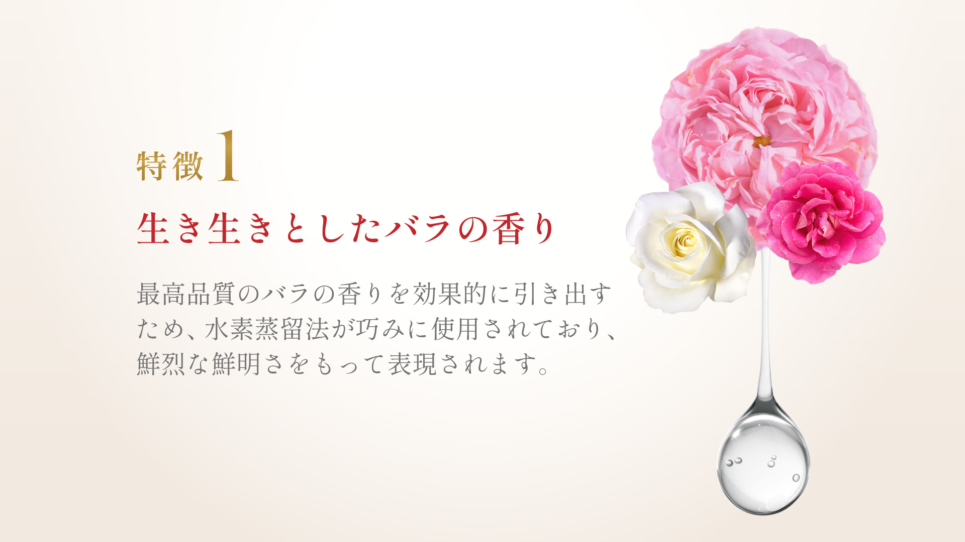ローズオットーの特徴１「いきいきとしたバラの香り」