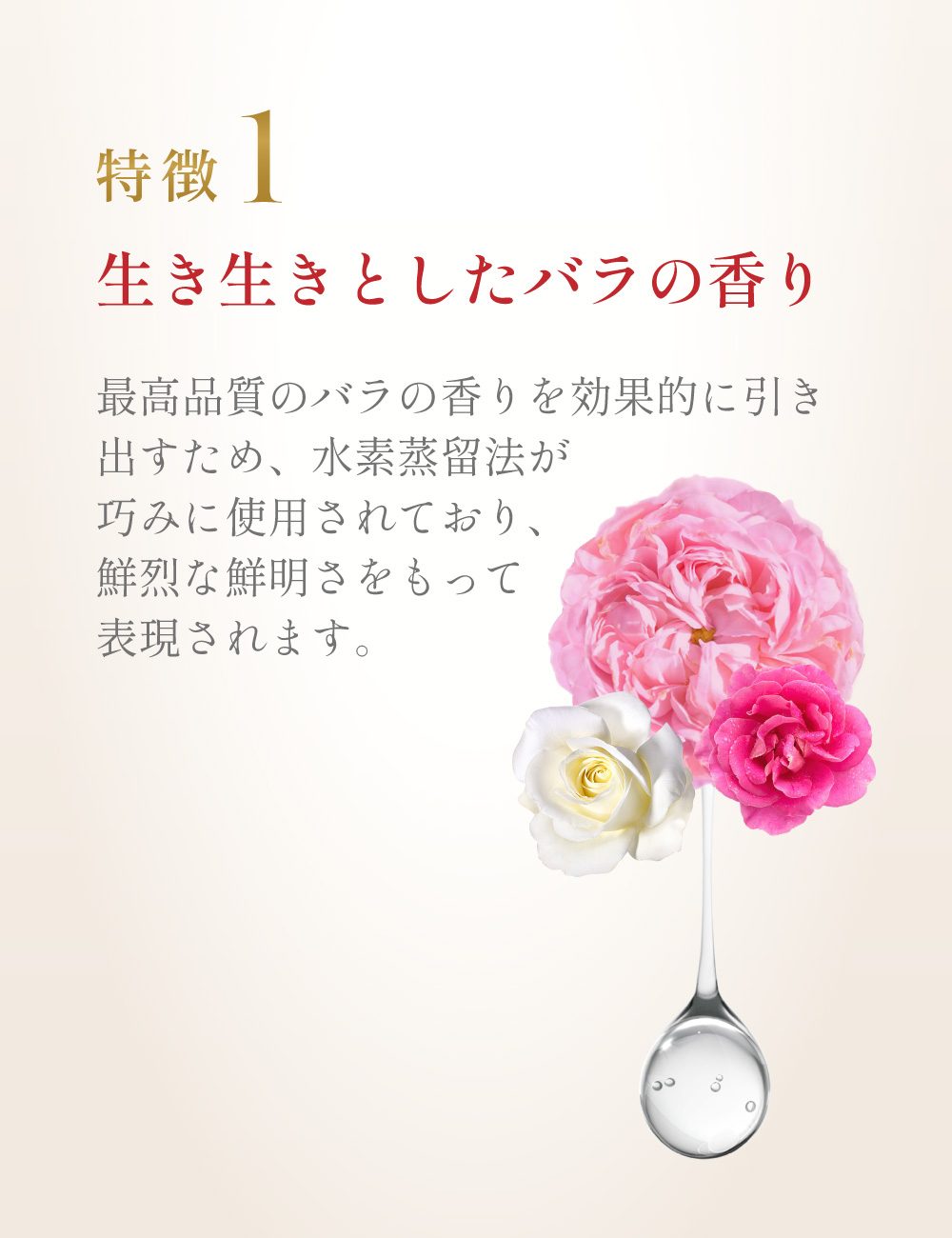 ローズオットーの特徴１「いきいきとしたバラの香り」