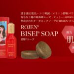 美整ソープ bisei soap