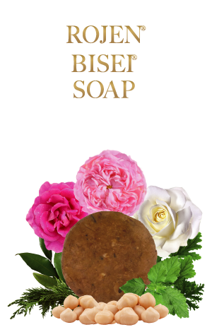 BISEI-SOAP