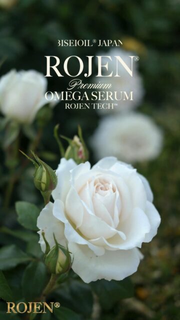 ROJEN® BISEIOIL®
Glow your Beauty

美整オイル®
肌細胞に目覚めを

⚜️ROJEN公式サイト
https://rojen.jp/
🛒ご購入ページ
https://rojen.jp/bisei-oil/shop/

🇺🇸ROJEN USA
rojenusa.com
ROJEN Organic Skincare
https://rojenusa.com/biseioil/

#ROJEN #ロジェン #biseioil #美整オイル #オーガニック #スキンケア #スキンケアアイテム #美容オイル #魔法の5秒リフト #塗るサプリメント #エイジングケア