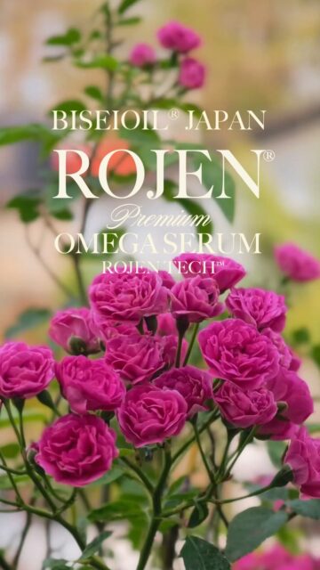 ✨✨✨ 💖 ✨✨✨
ROJEN® BISEIOIL®
Glow your Beauty
美整オイル®
肌細胞に目覚めを
⚜️ROJEN公式サイト
https://rojen.jp/
🛒ご購入ページ
https://rojen.jp/bisei-oil/shop/
🇺🇸ROJEN USA
rojenusa.com
ROJEN Organic Skincare
https://rojenusa.com/biseioil/
#ROJEN #ロジェン #biseioil #美整オイル #オーガニック #スキンケア #美肌 #紫外線対策 #紫外線 #シミ対策 #シワ対策 #乾燥肌対策 #免疫力強化 #弾力ある肌に変身