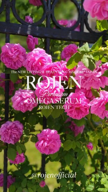 💎香りの女王💎
ROJEN®美整®
ダマスクローズ
ブルガリアの歴史あるオーガニックのバラ園の谷でのみ栽培され収穫された、摘みたてのブルガリアのローザダマスケーナの花の繊細な花びらから低温で水素蒸留された非常に上質なローズオイル。
✨✨✨ 💖 ✨✨✨
ROJEN® BISEIOIL®
Magic Drop 🌹
美整オイル®
肌細胞に目覚めを
✨✨✨ 💖 ✨✨✨
⚜️ROJEN公式サイト
https://rojen.jp/
🛒ご購入ページ
https://rojen.jp/bisei-oil/shop/
🇺🇸ROJEN USA
rojenusa.com
ROJEN Organic Skincare
https://rojenusa.com/biseioil/
#ROJEN #ロジェン #biseioil #美整オイル #オーガニック #スキンケア #美肌 #紫外線対策 #紫外線 #シミ対策 #シワ対策 #乾燥肌対策 #免疫力強化 #弾力ある肌に変身