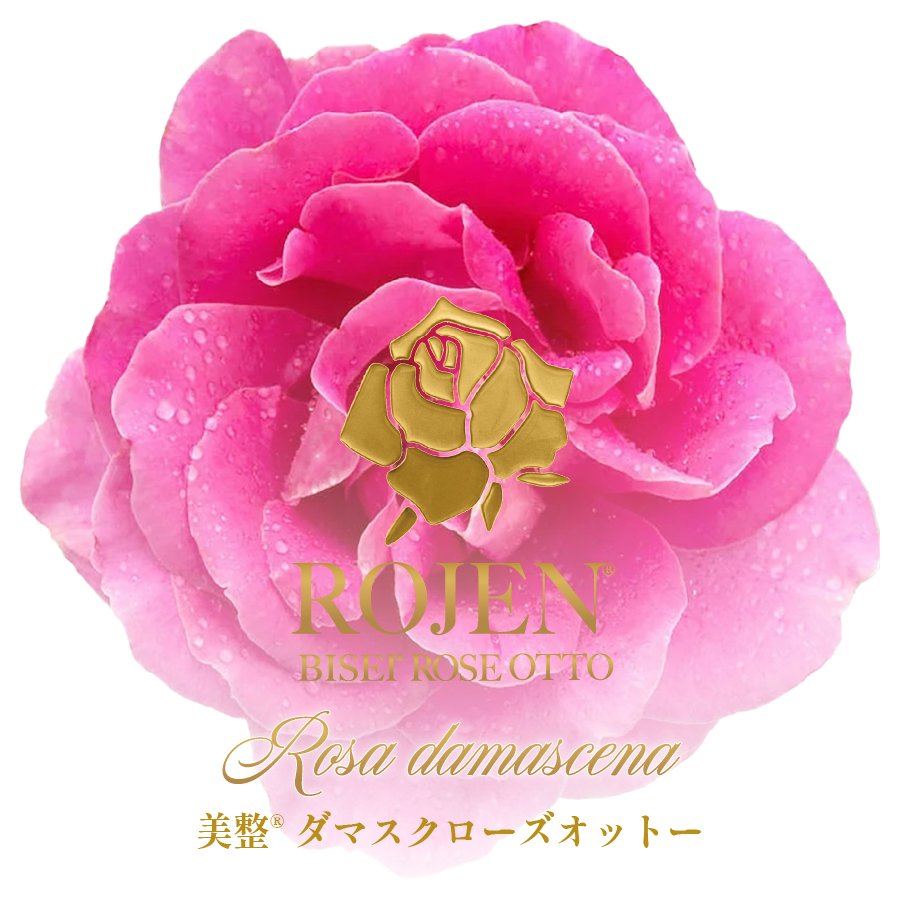 explanation-Damask02