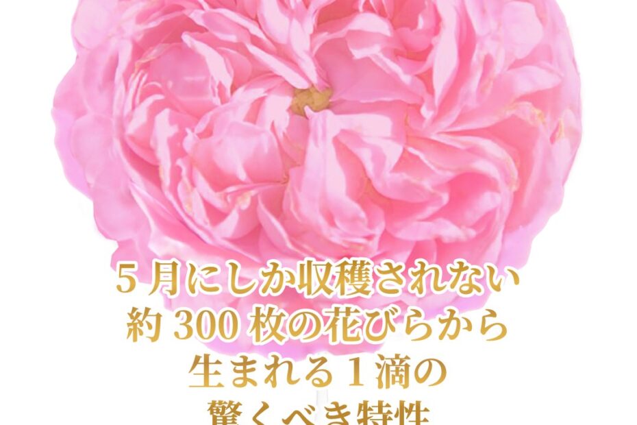 古くから王室で寵愛された驚くべき若返りの媚薬 美整オイル®ローズ・ド・メイ