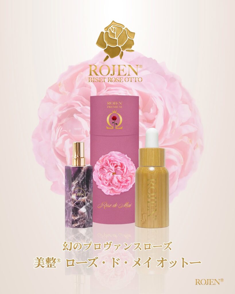幻のプロヴァンスローズ美整ローズ・ド・メイオットー