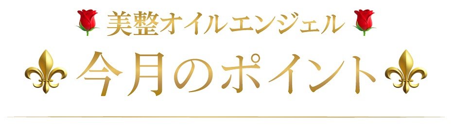 美整オイルエンジェルの今月のポイント