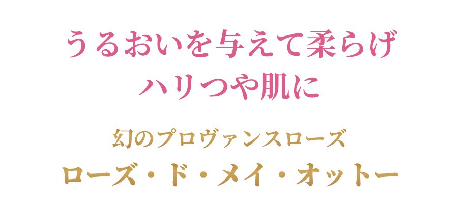 アメージングで濃厚な香と栄養素。幻のプロヴァンスローズ『魅惑の秘宝』ROJEN® 美整オイル ローズ・ド・メイ