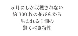 アメージングで濃厚な香と栄養素。幻のプロヴァンスローズ『魅惑の秘宝』ROJEN® 美整オイル ローズ・ド・メイ