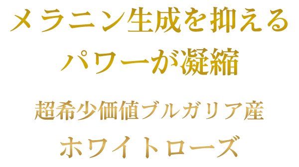 メラニン生成を抑えるパワーが凝縮〜超希少価値ブルガリア産〜美整オイル®ホワイトローズ