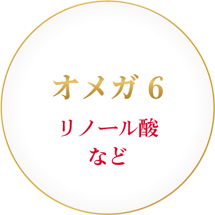 ing_0201
