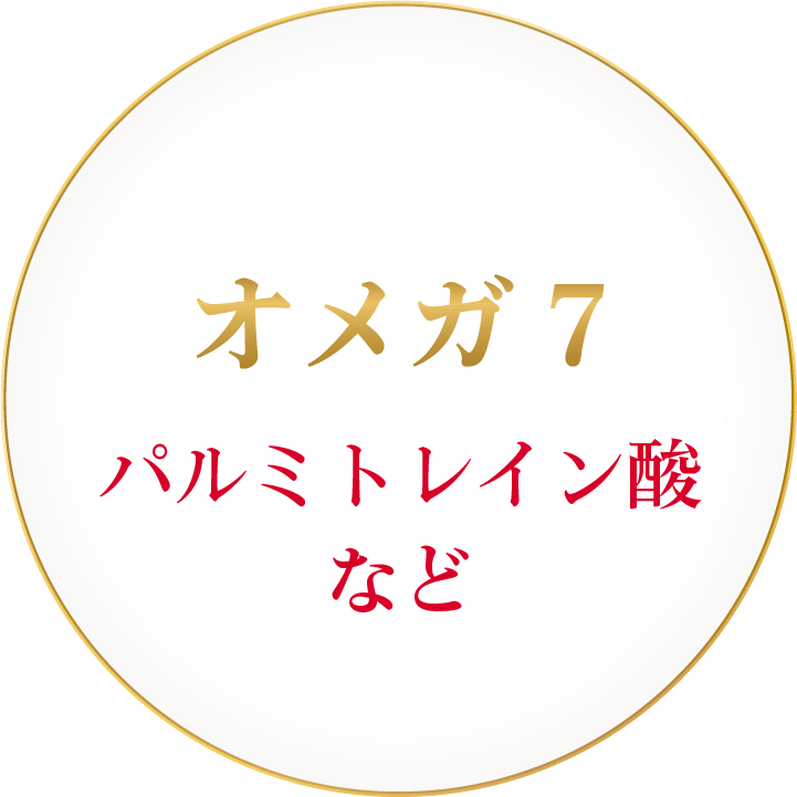 ing_0301
